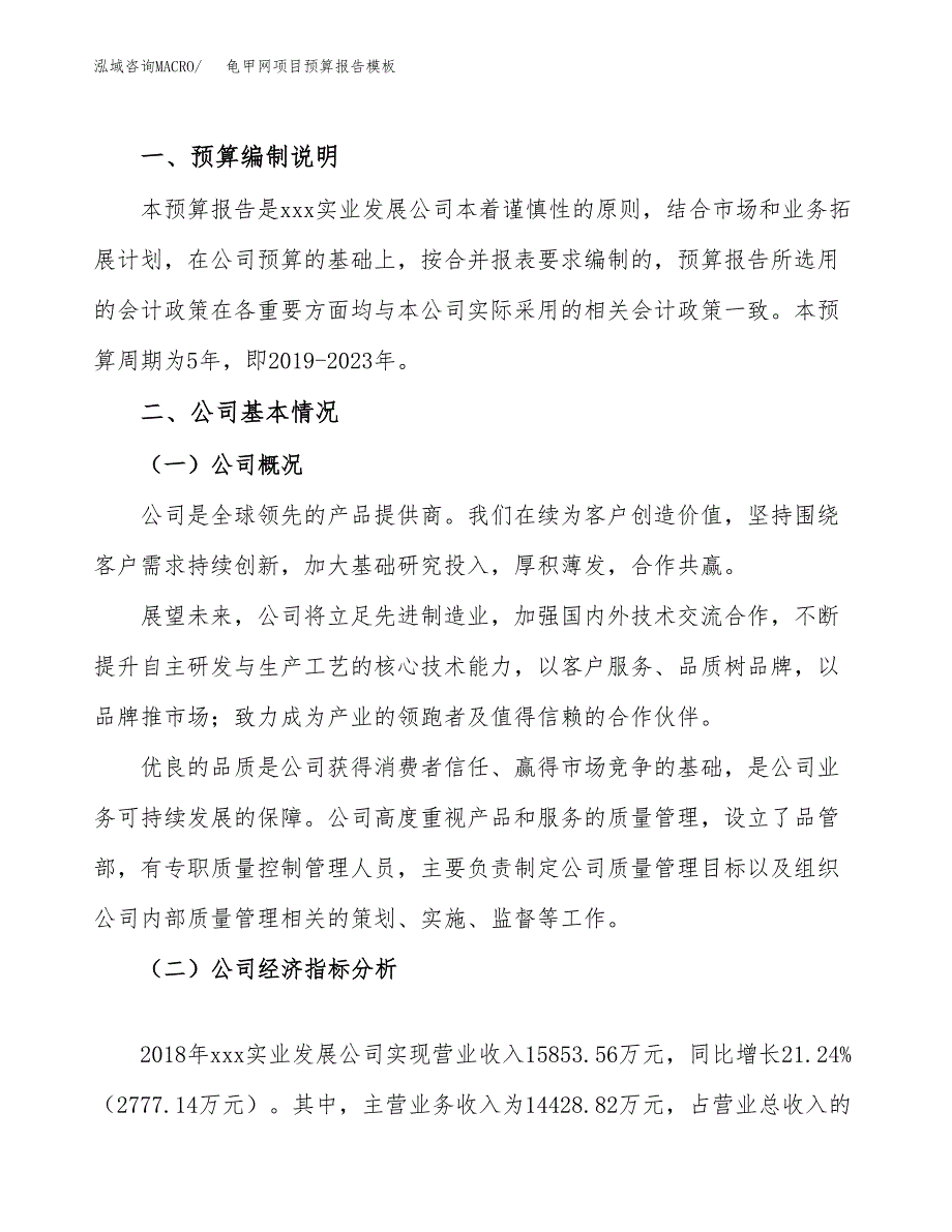 龟甲网项目预算报告模板.docx_第2页