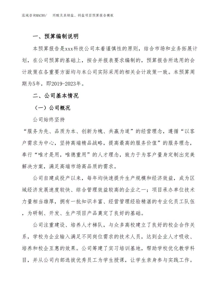 丙酸及其钠盐、钙盐项目预算报告模板.docx_第2页