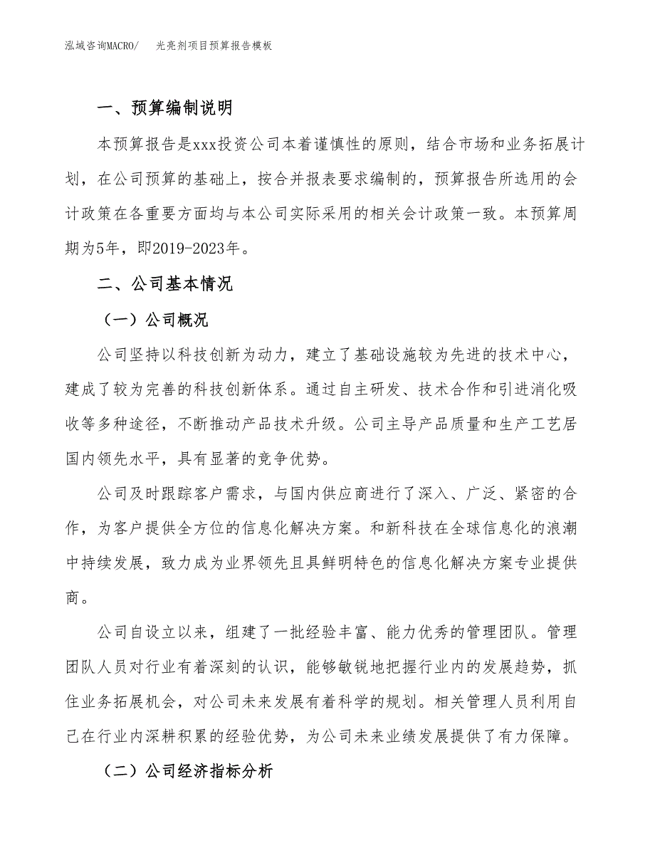 光亮剂项目预算报告模板.docx_第2页