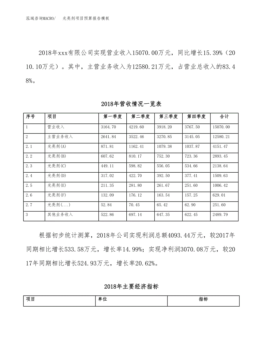 光亮剂项目预算报告模板.docx_第3页