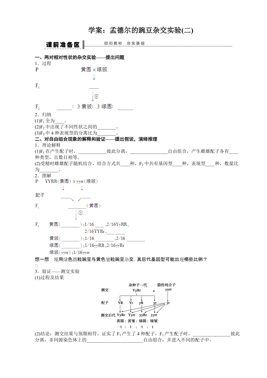 学案-孟德尔的豌豆杂交实验2_第1页