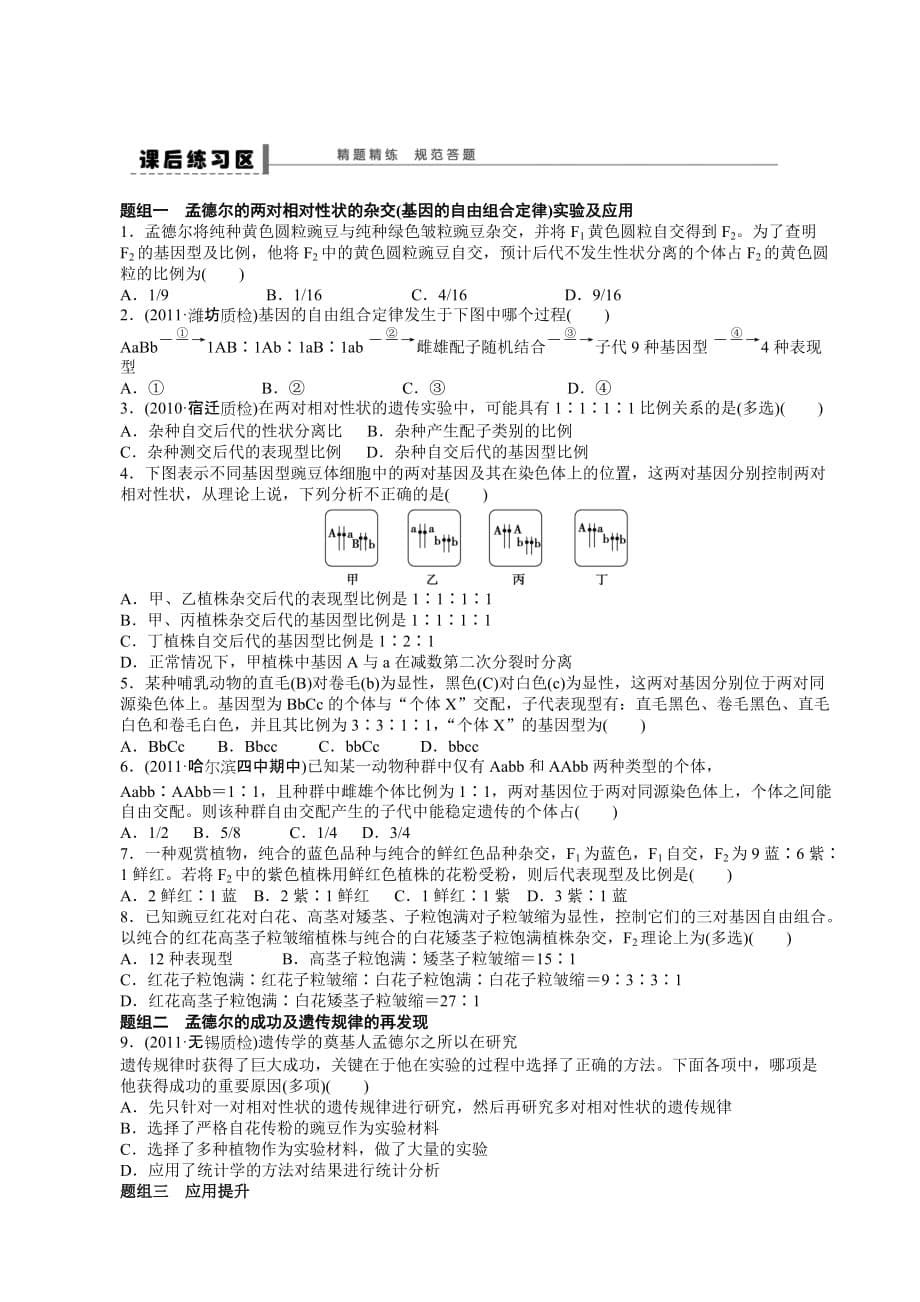 学案-孟德尔的豌豆杂交实验2_第5页