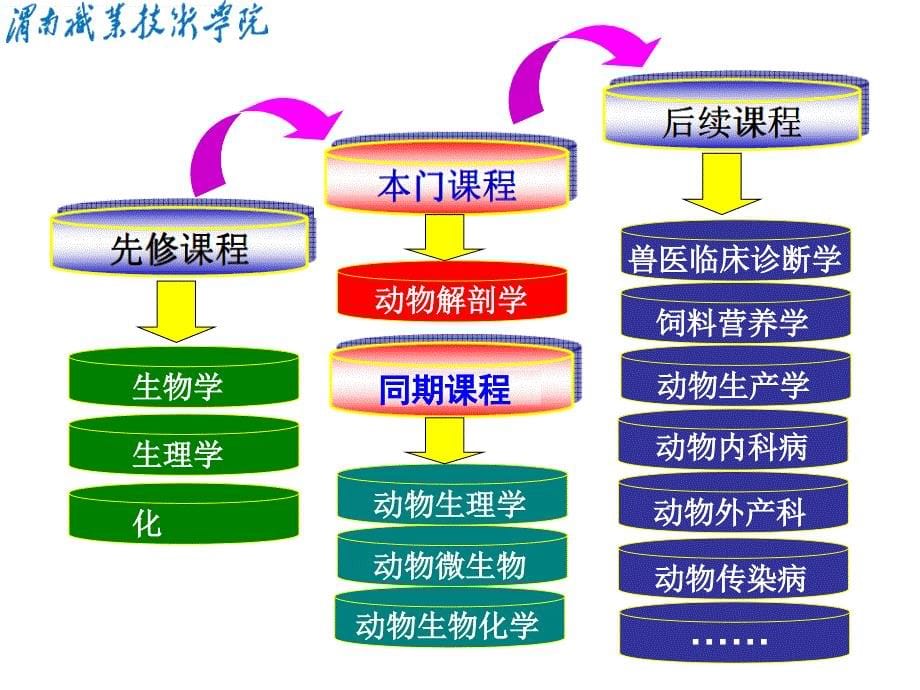 《动物解剖学》_第5页