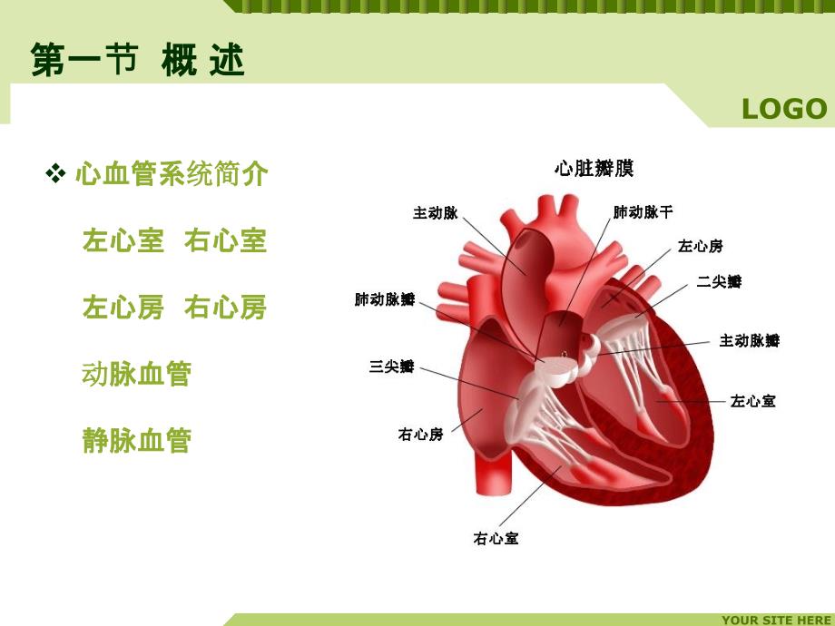 婴幼儿先心病的护理_第3页