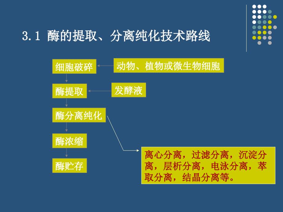 酶的分离提纯分析_第4页