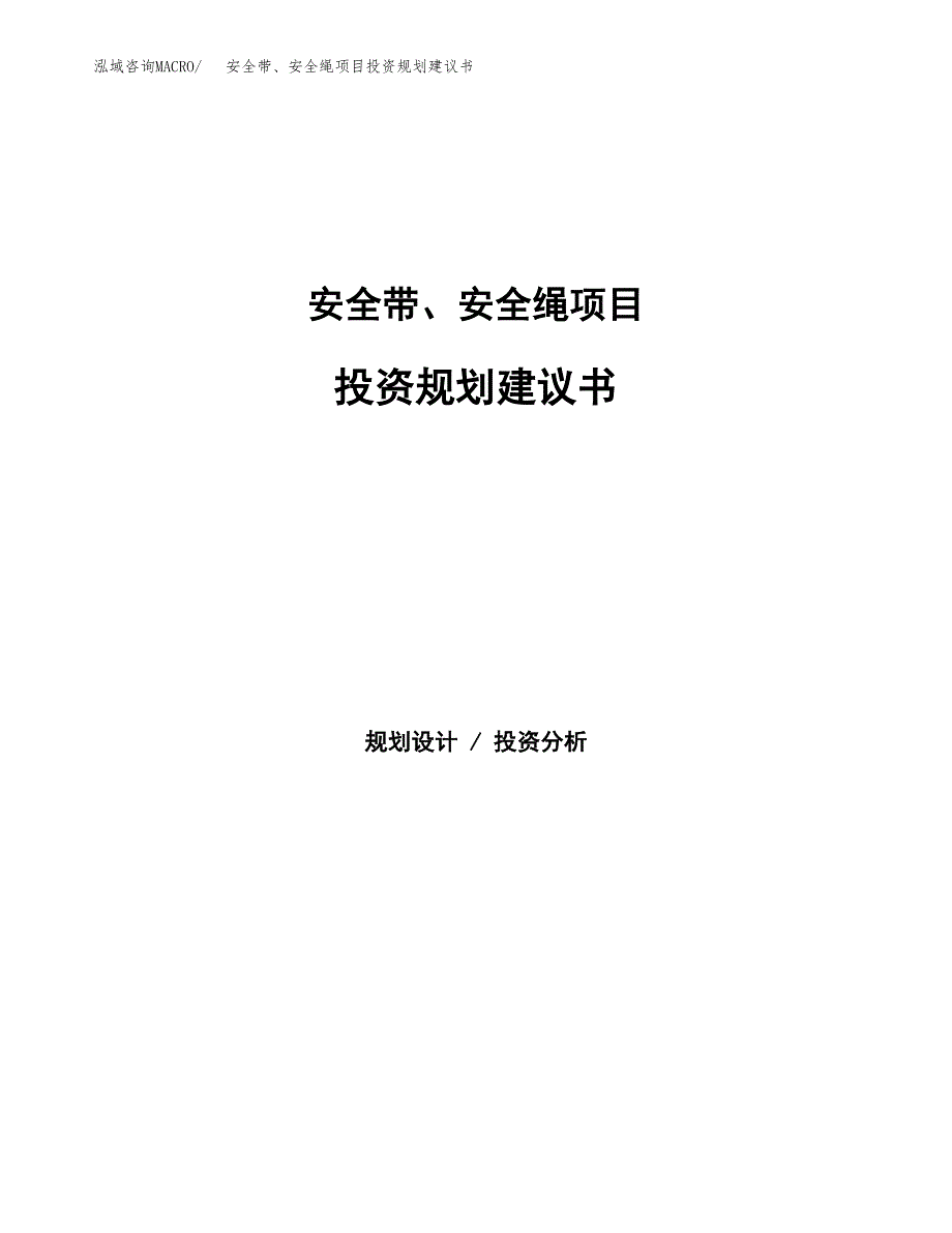 安全带、安全绳项目投资规划建议书.docx_第1页