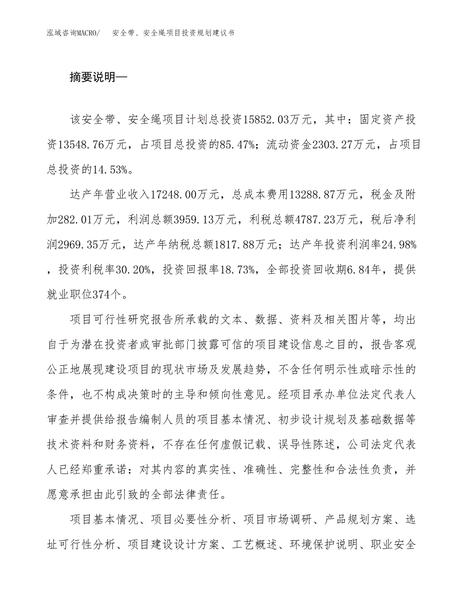 安全带、安全绳项目投资规划建议书.docx_第2页