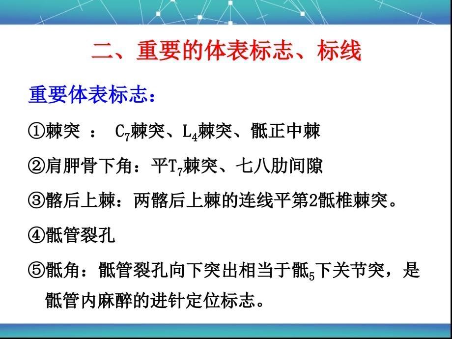 脊柱区局部解剖学ppt_第5页