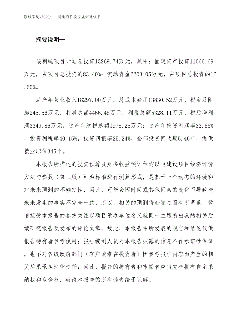 刺绳项目投资规划建议书.docx_第2页