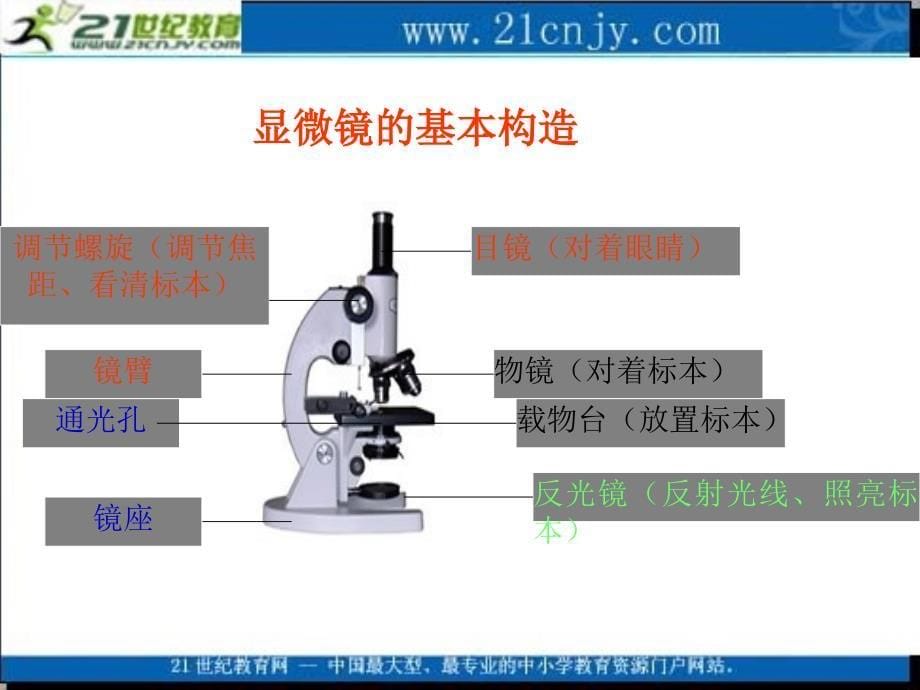 (苏教版)六年级科学上册课件_水滴里的生物_第5页