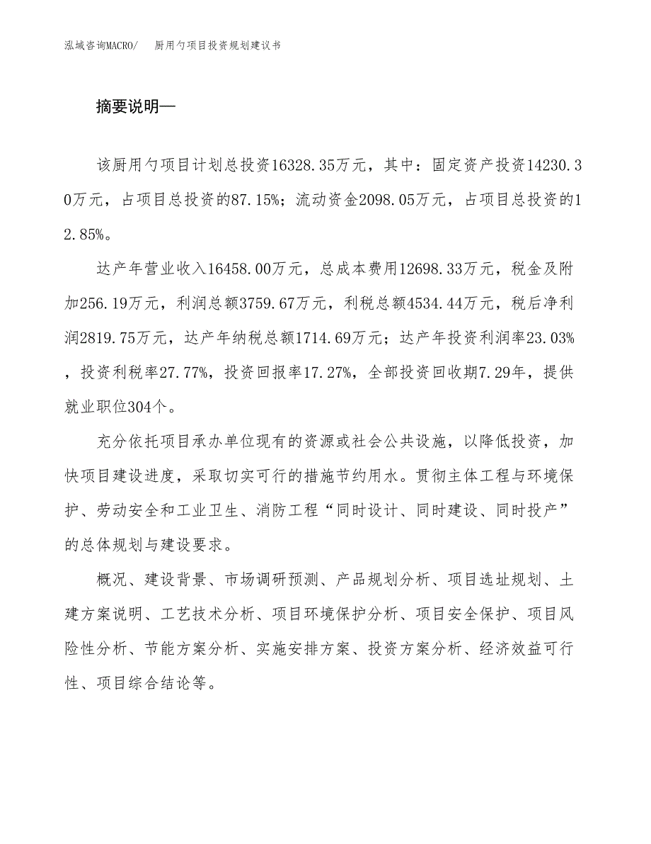 厨用勺项目投资规划建议书.docx_第2页