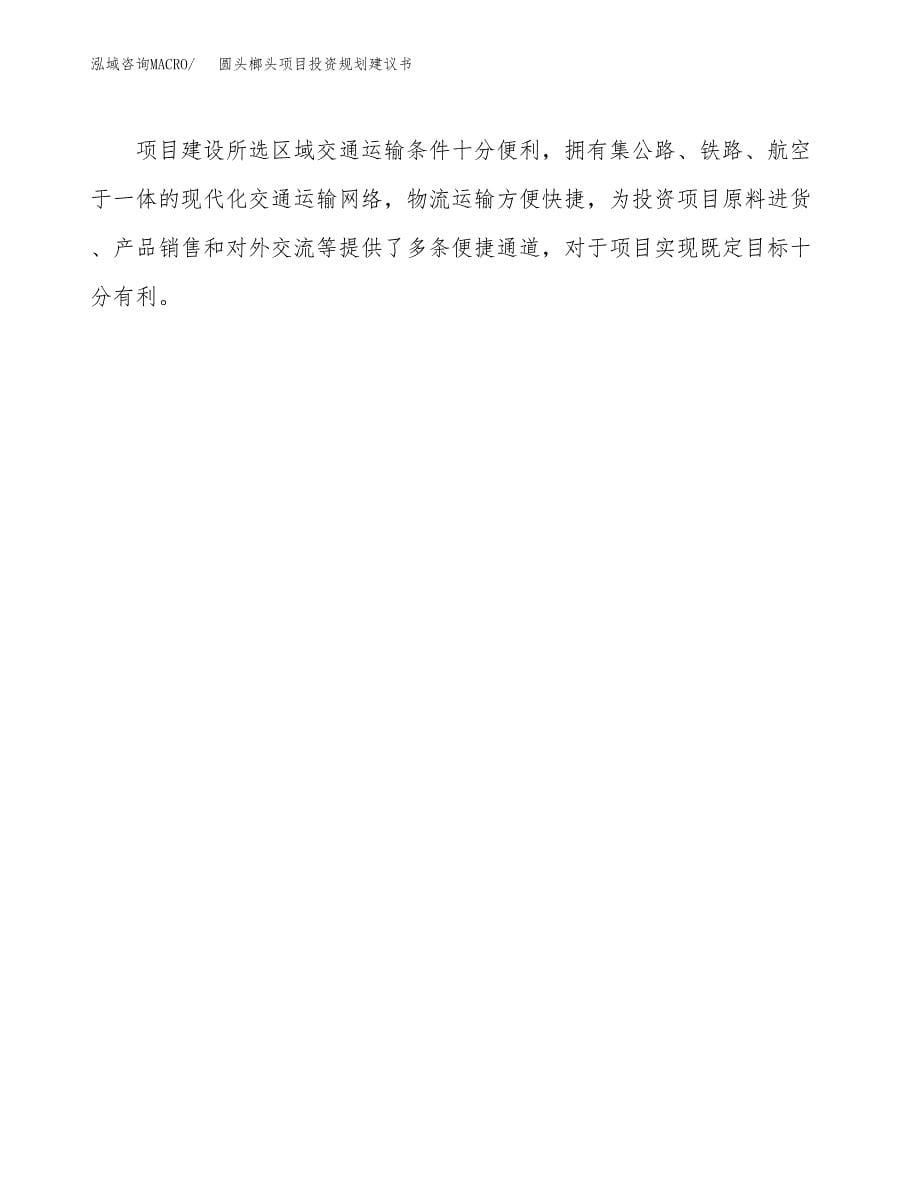 圆头榔头项目投资规划建议书.docx_第5页