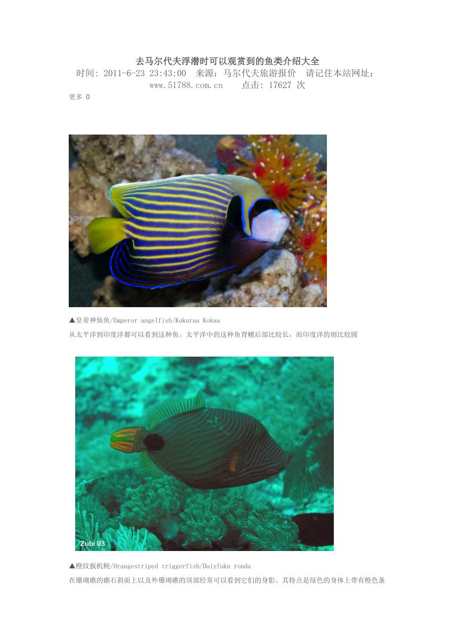 去马尔代夫浮潜时可以观赏到的鱼类介绍大全.doc_第1页
