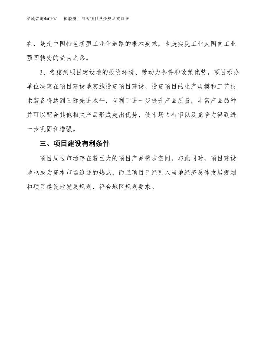 橡胶瓣止回阀项目投资规划建议书.docx_第5页