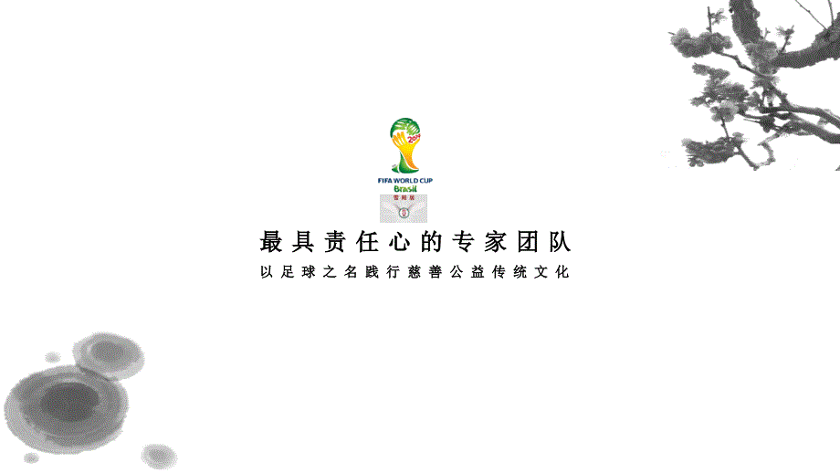 以足球的名义践行公益慈善传统文化.巴西世界杯足球赛.媒体.招商方案.营销方案.雪阳东升资料_第3页