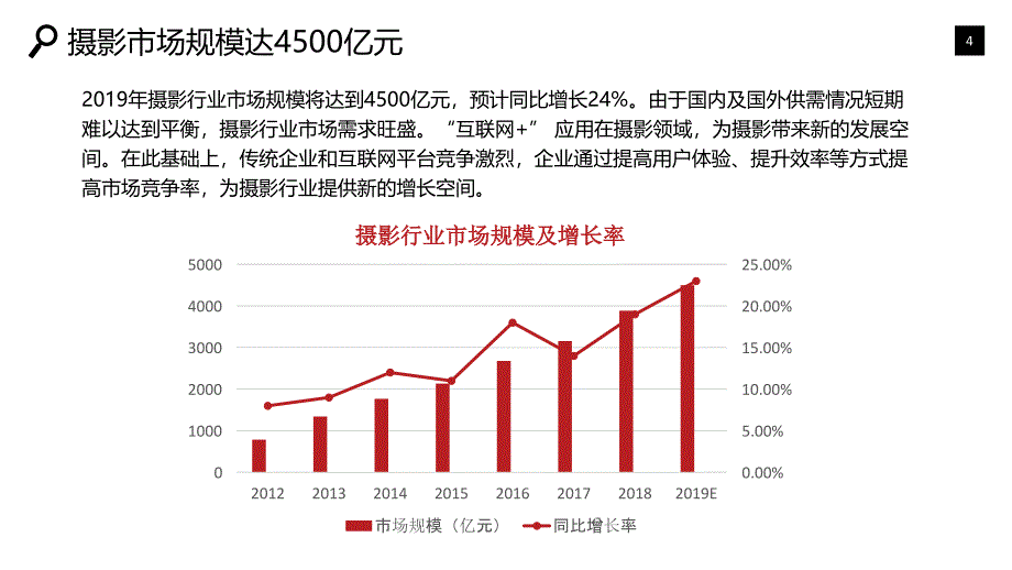 摄影行业可行性研究报告调研_第4页