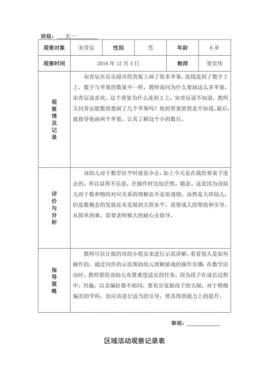 区域活动观察记录表.doc_第5页