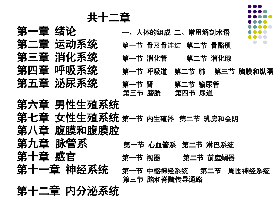 人体解剖学课件-全ppt课件)资料_第1页