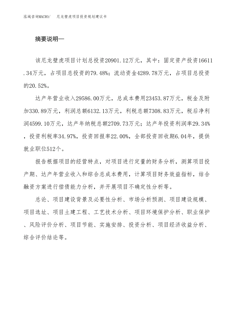 尼龙壁虎项目投资规划建议书.docx_第2页