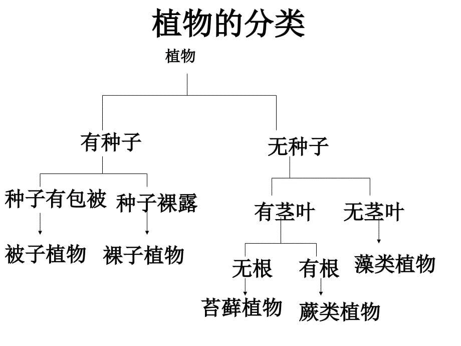 讲各种各样的生物_第5页