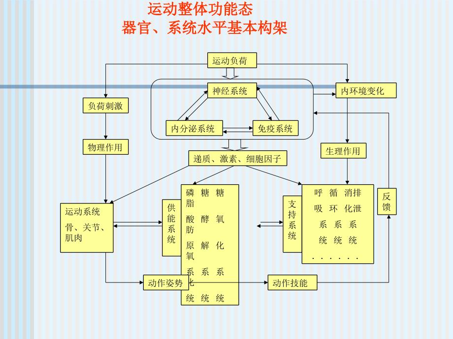 运动整体功能态的网络结构_第3页