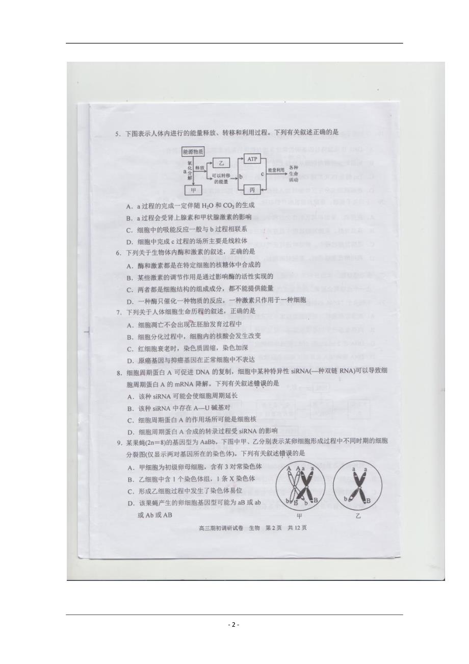 江苏省常熟中学2020届高三上学期期初调研试卷生物图片版含答案_第2页