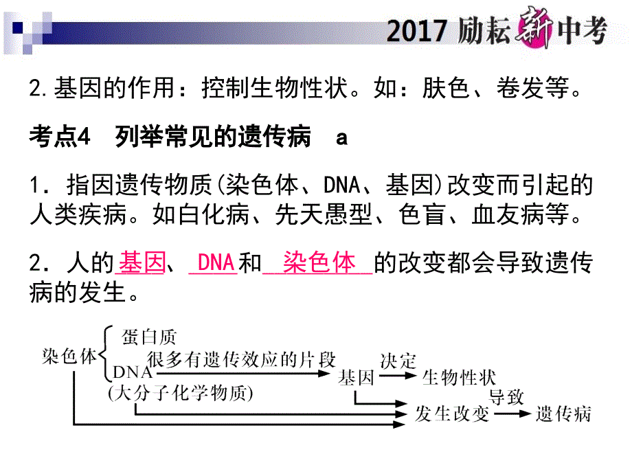 时遗传与进化_第4页