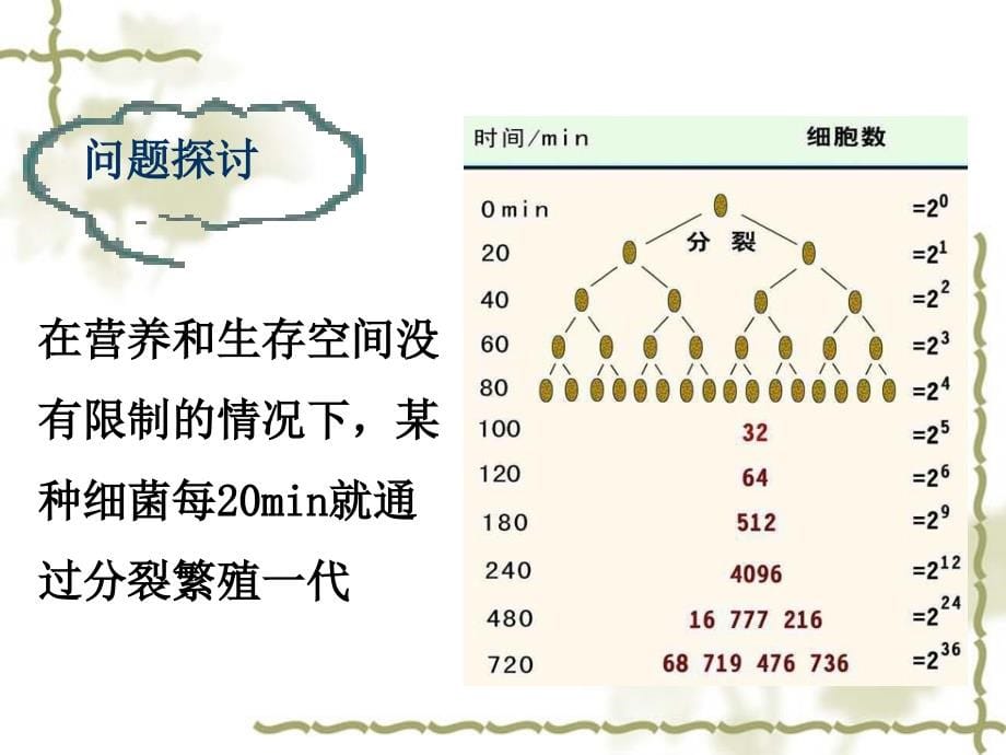 种群数量的变化ppt_第5页