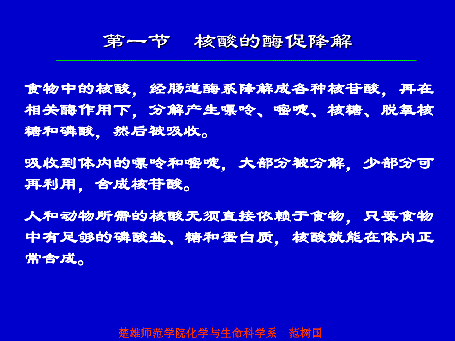 嘧啶核苷酸的生物合成_第2页