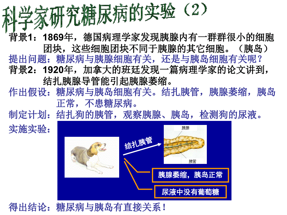 赵艳老师的_第3页