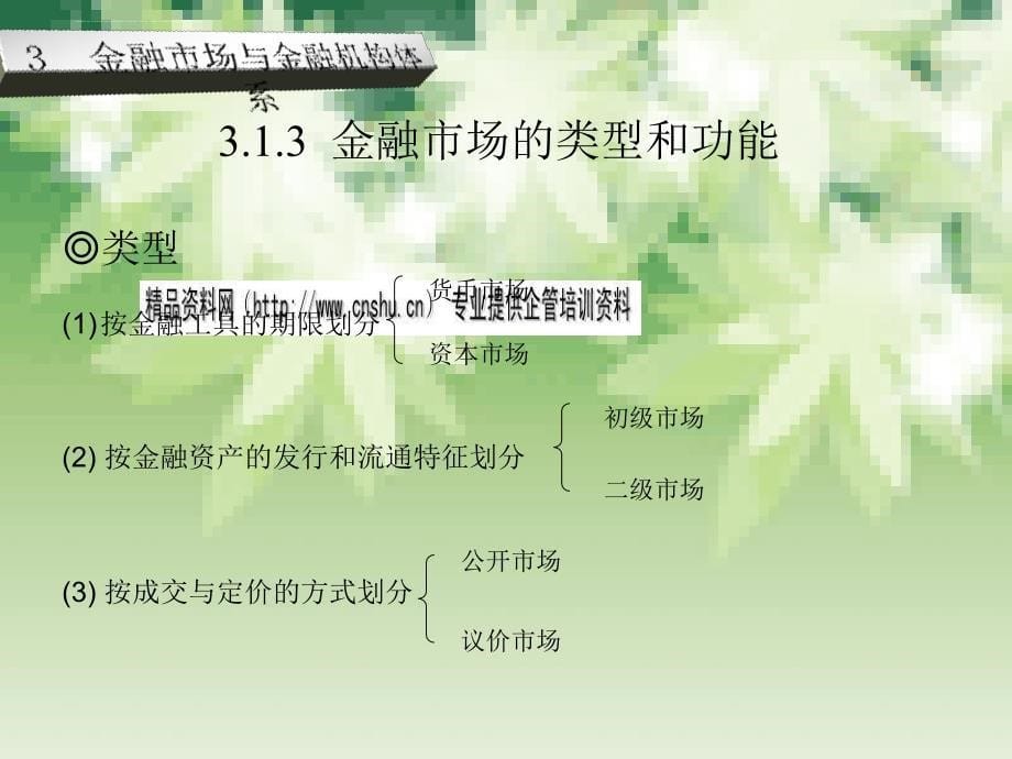 金融市场与金融机构体系综述.ppt_第5页