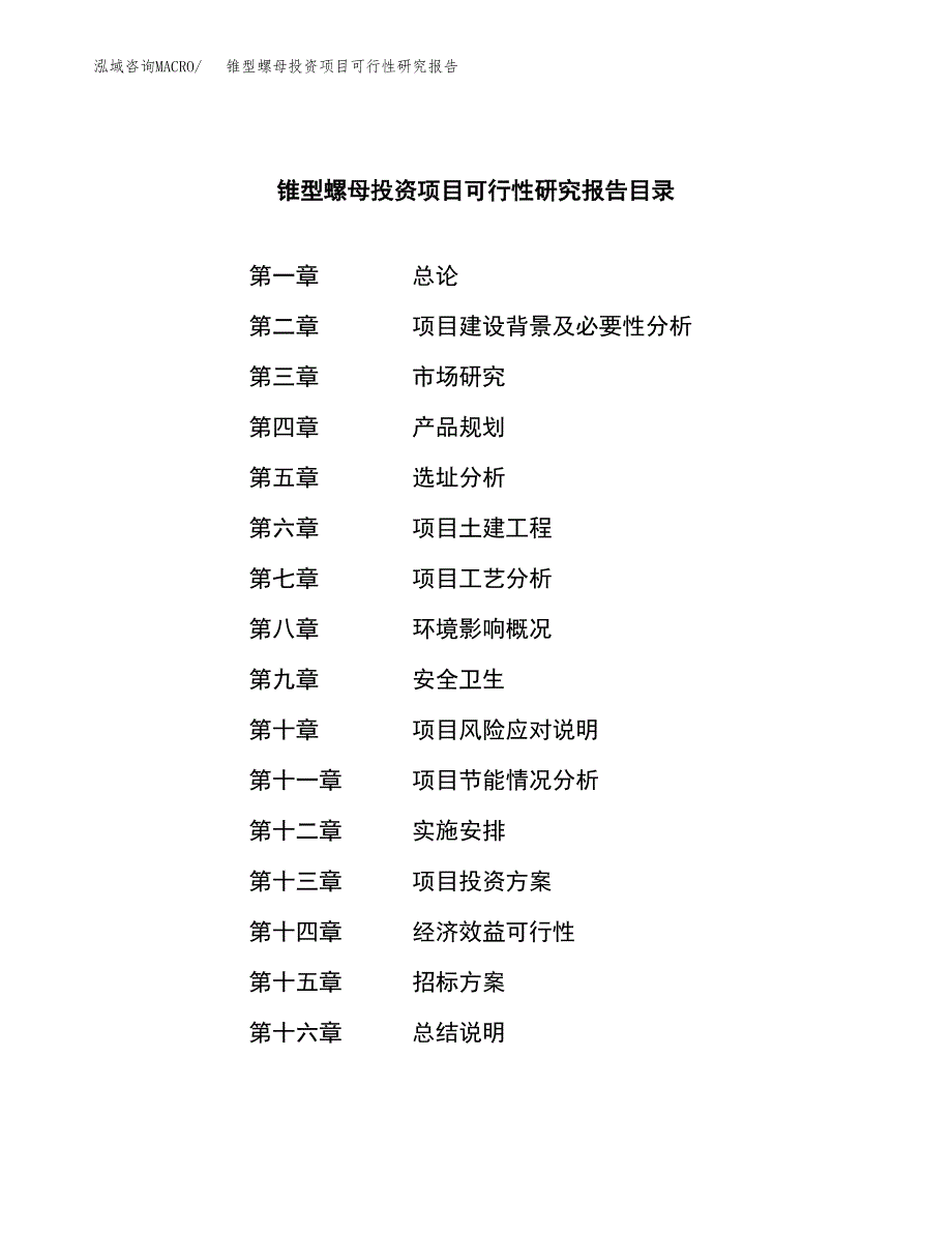 锥型螺母投资项目可行性研究报告(word可编辑).docx_第2页