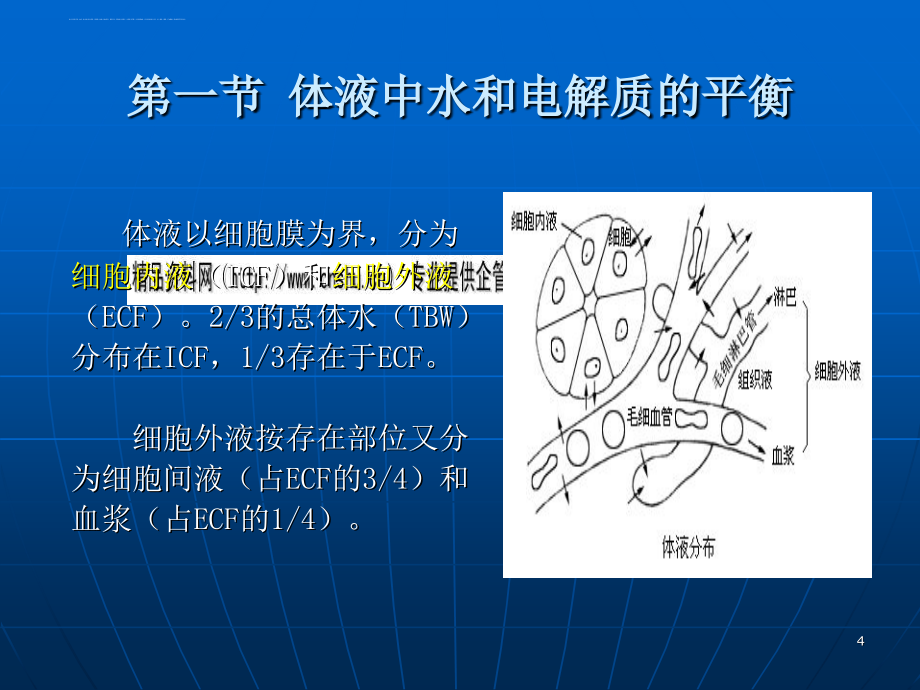 电解质和酸碱平衡紊乱的生物化学检验概述.ppt_第4页