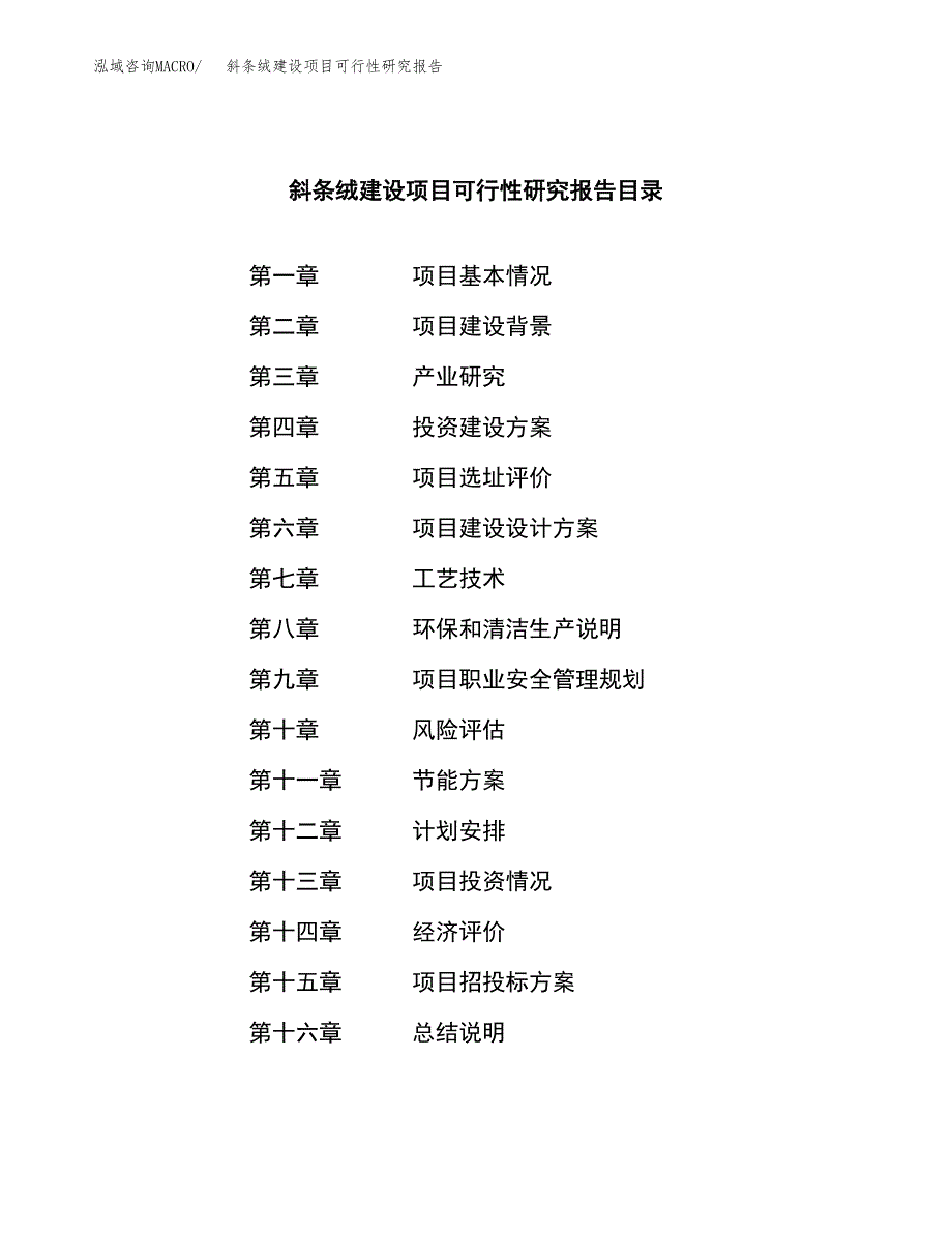 斜条绒建设项目可行性研究报告（word下载可编辑）_第3页