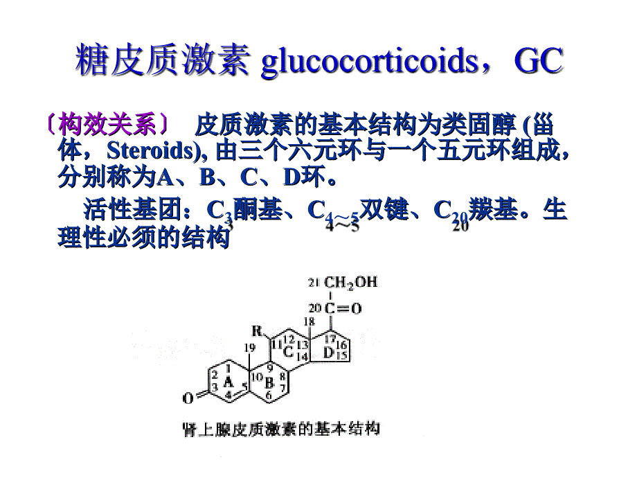 糖皮质激素科内讲座_第3页