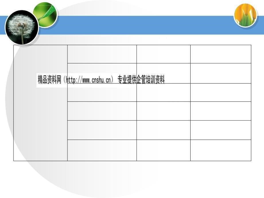 药品生产监管问题研讨.ppt_第5页