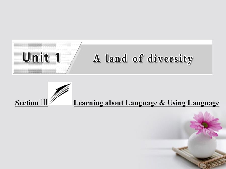 2017-2018学年高中英语 unit 1 a land of diversity section ⅲ learning about language using language课件 新人教版选修8_第1页