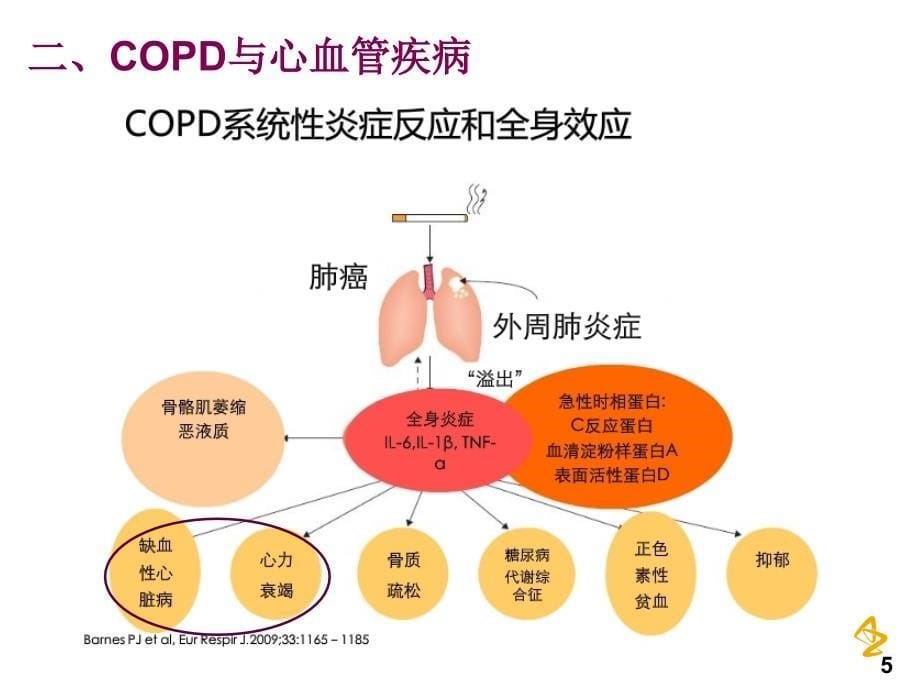 cvd合并copd患者治疗方案_第5页