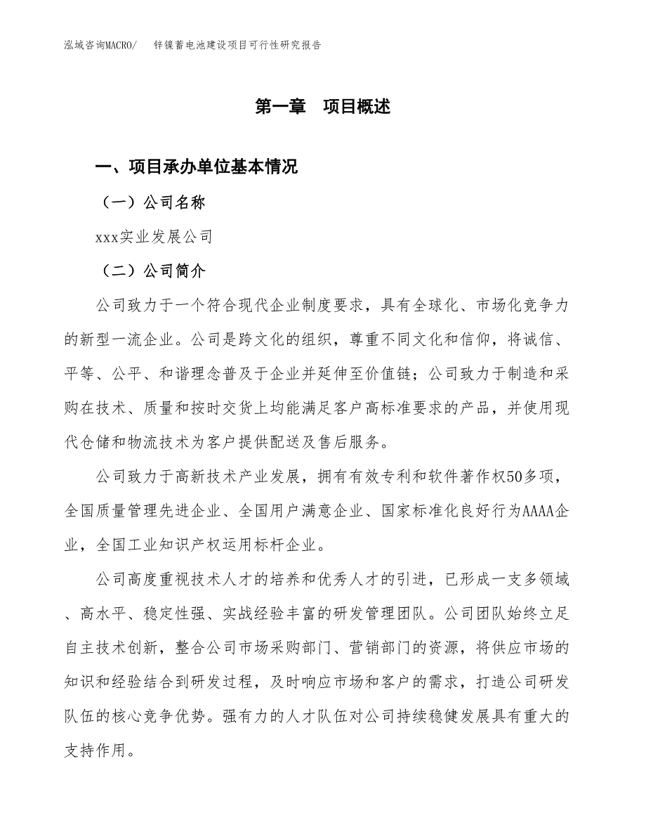 锌镍蓄电池建设项目可行性研究报告（word下载可编辑）_第4页