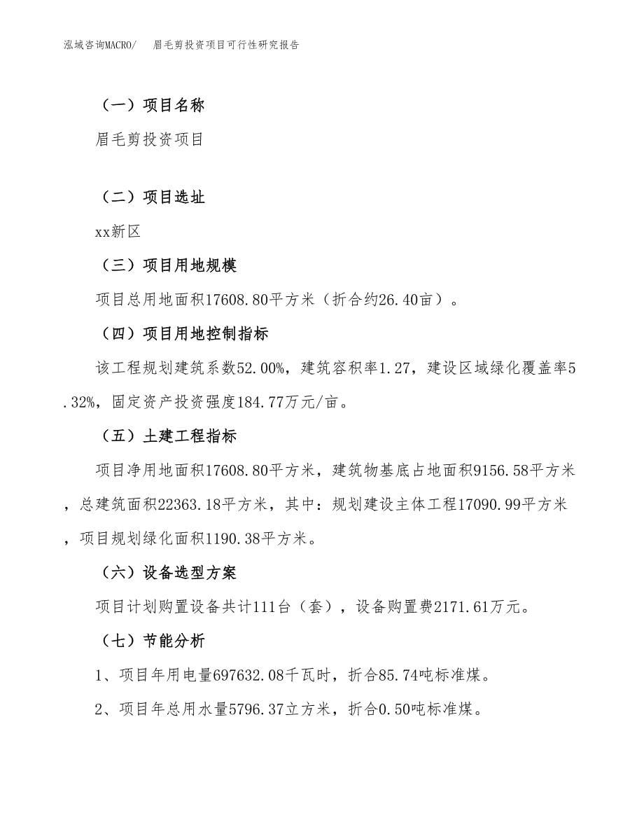 眉毛剪投资项目可行性研究报告(word可编辑).docx_第5页