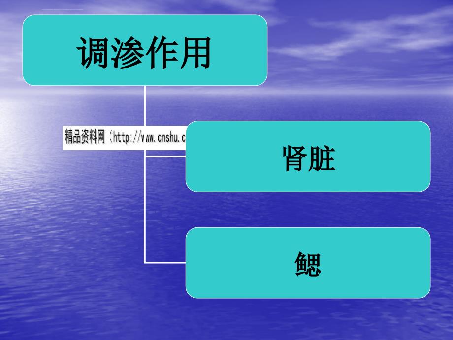 海水鱼类调渗作用的器官及其功能.ppt_第2页