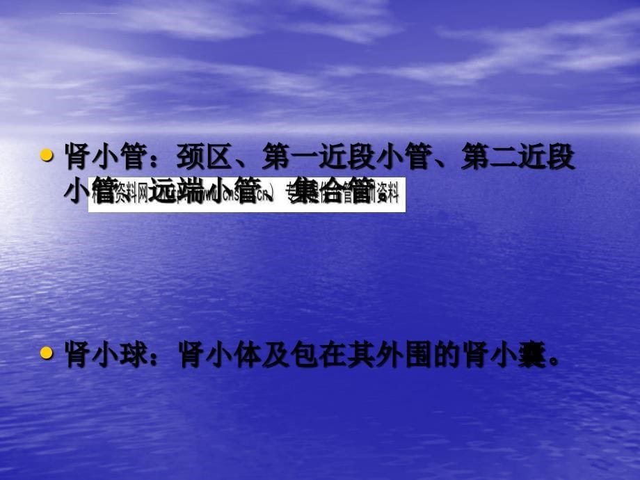 海水鱼类调渗作用的器官及其功能.ppt_第5页