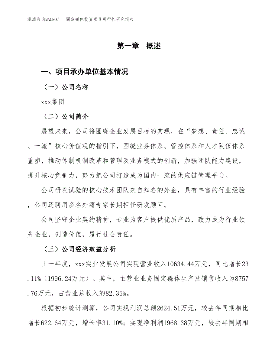 固定磁体投资项目可行性研究报告(word可编辑).docx_第3页