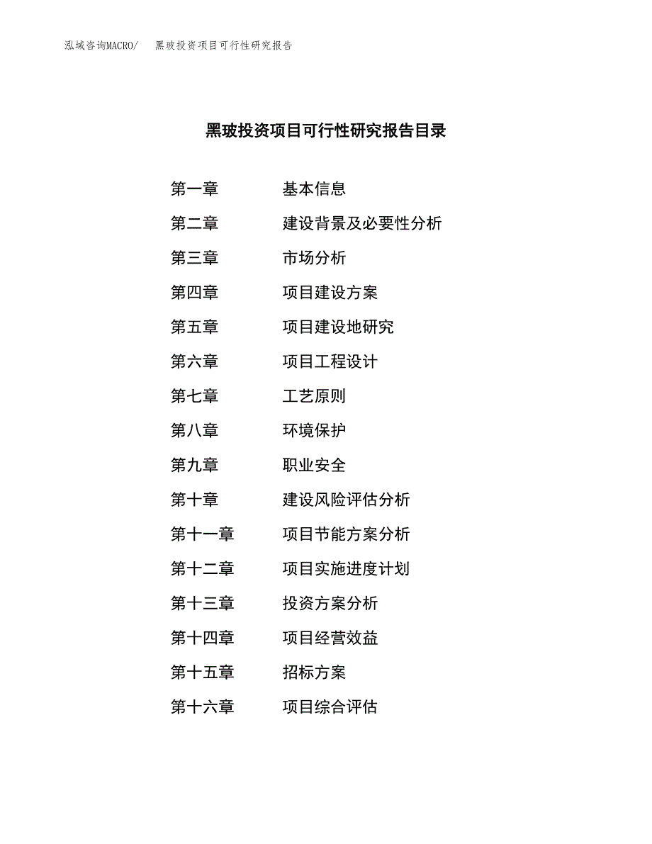 黑玻投资项目可行性研究报告(word可编辑).docx_第2页