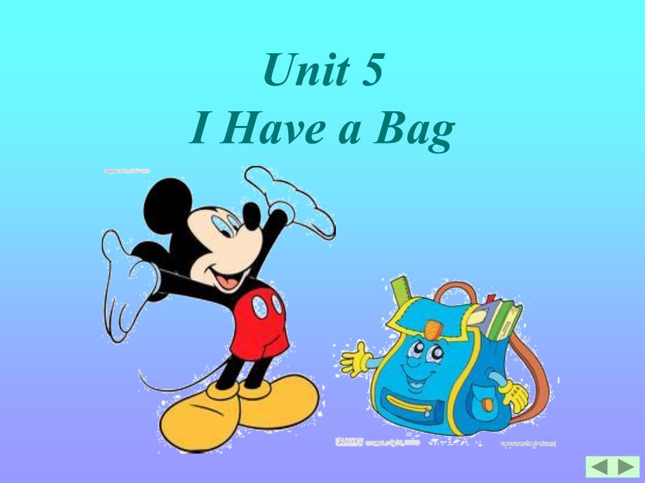 i-have-a-bag._第2页