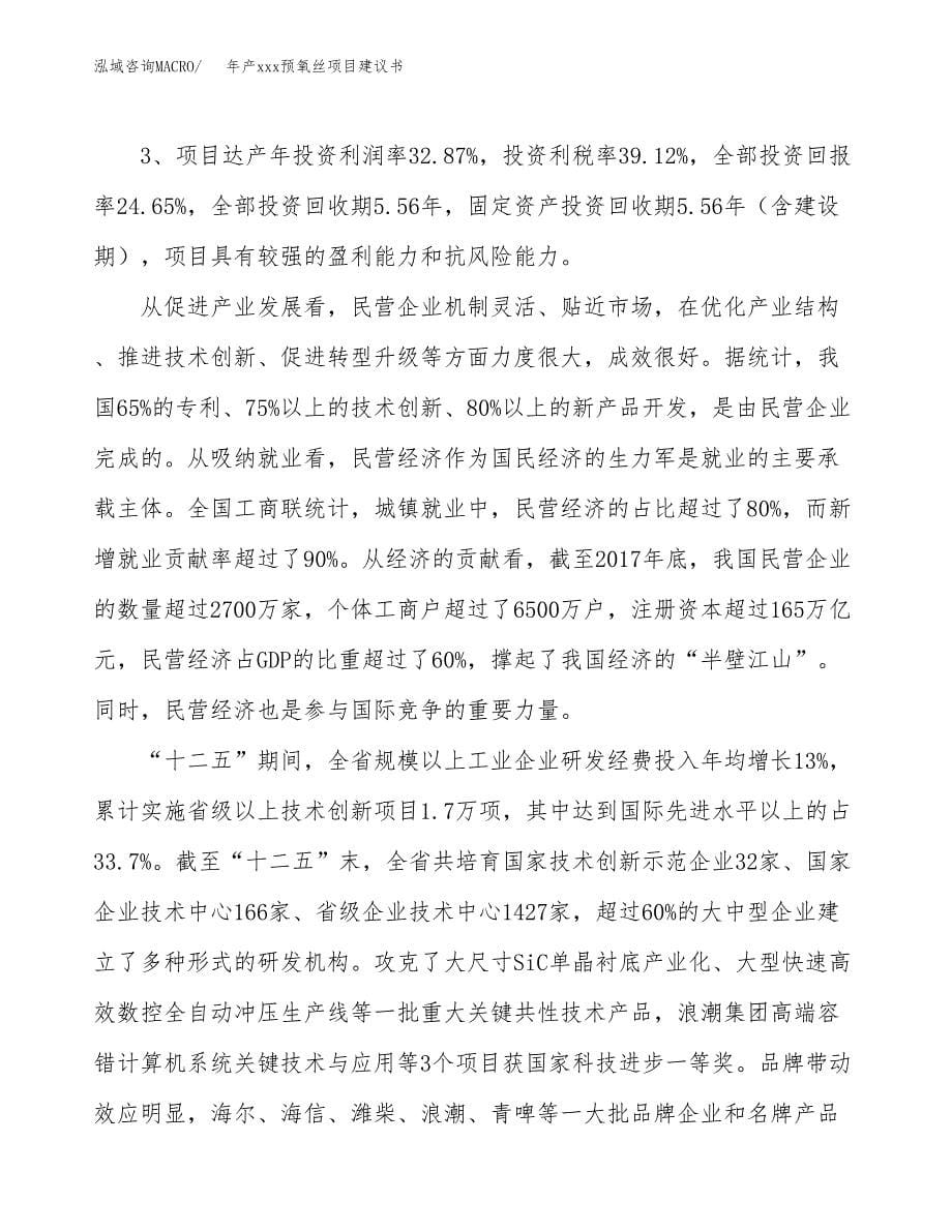 年产xxx预氧丝项目建议书(可编辑).docx_第5页