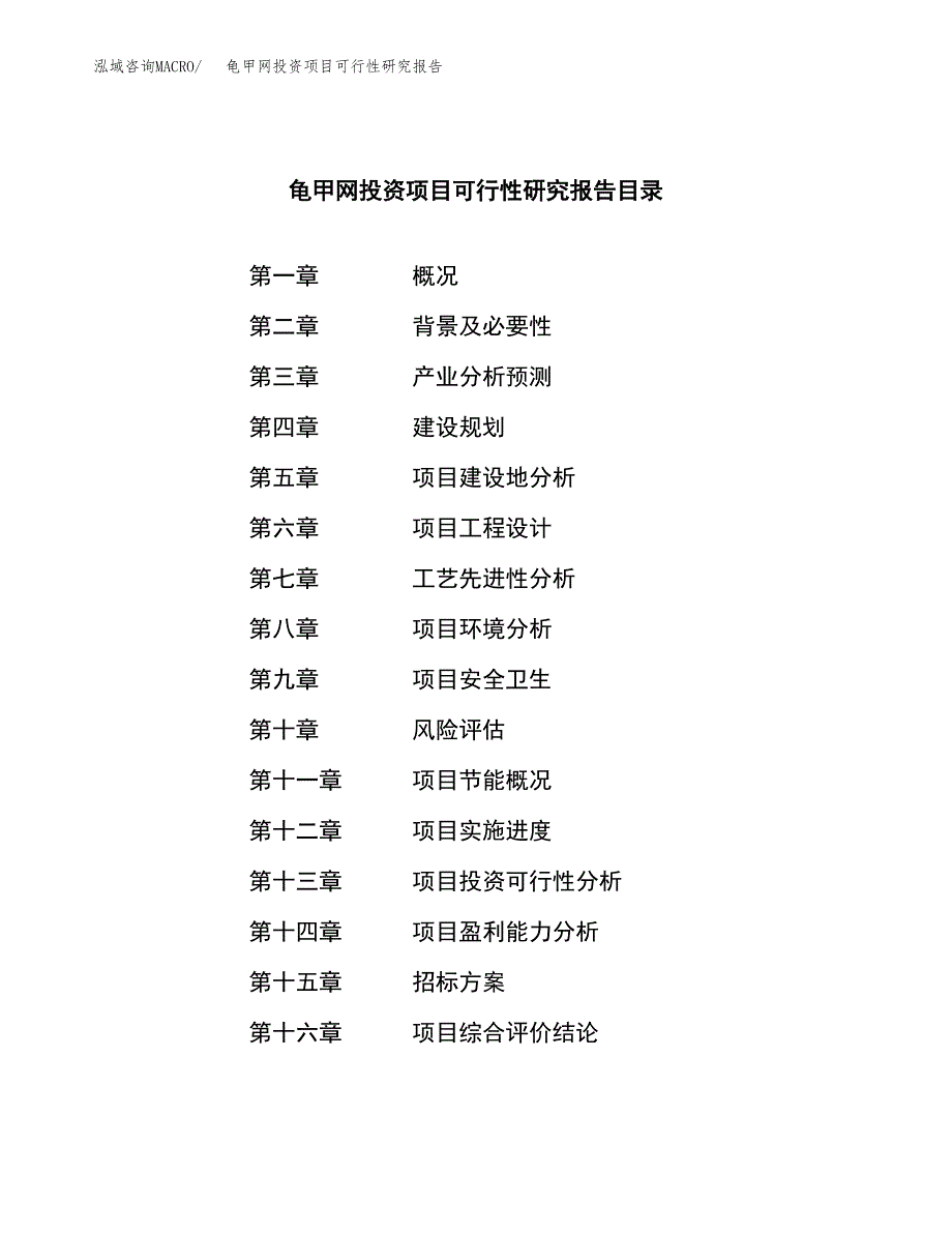 龟甲网投资项目可行性研究报告(word可编辑).docx_第2页