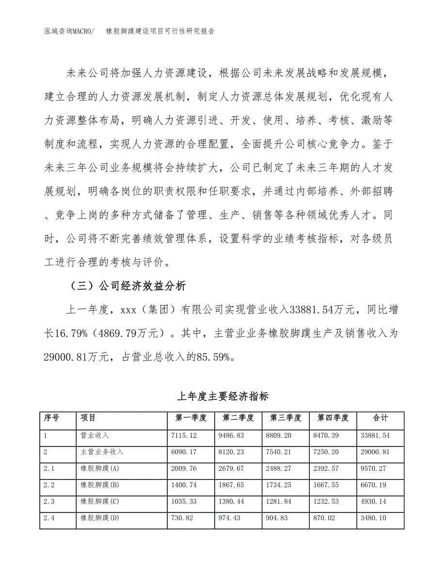 橡胶脚蹼建设项目可行性研究报告（word下载可编辑）_第5页