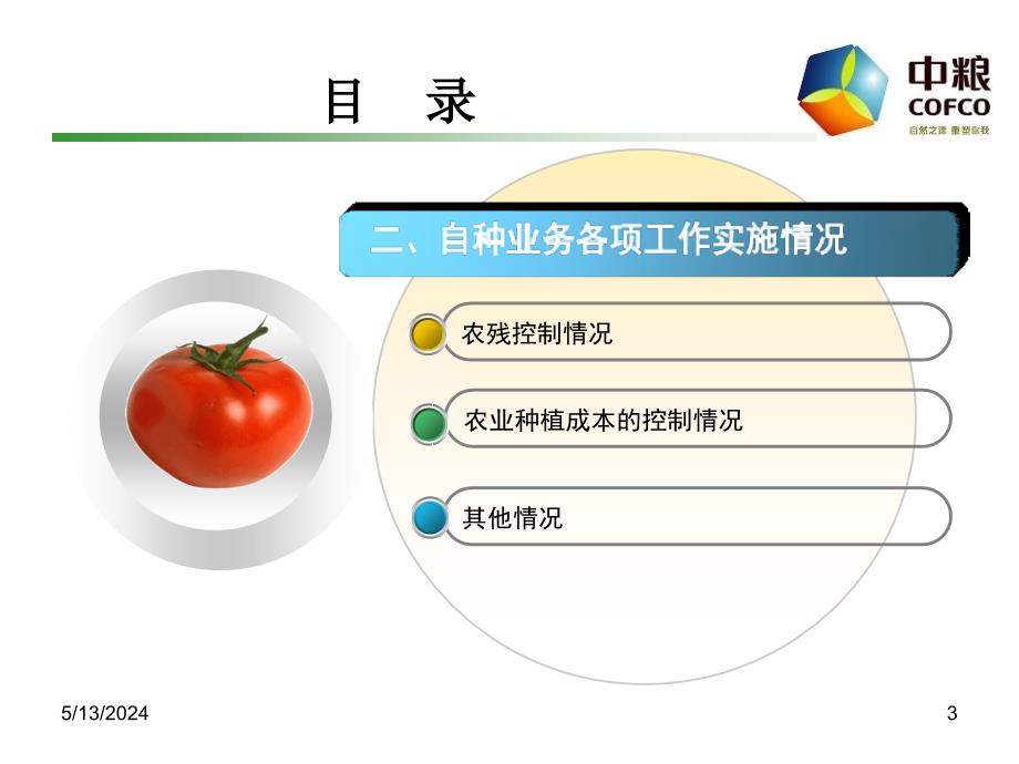 农业开发项目工作总结.ppt_第3页