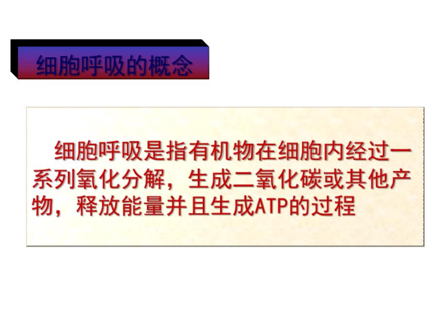 atp主要来源细胞呼吸_第4页